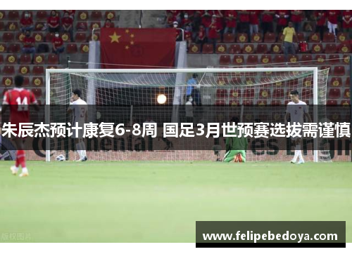 朱辰杰预计康复6-8周 国足3月世预赛选拔需谨慎